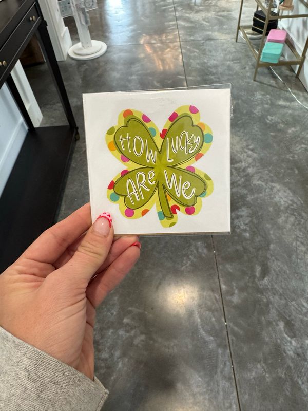 How Lucky Are We 4x4 Acrylic Frame Insert