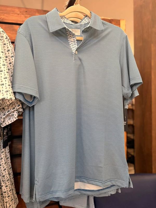 Andy Stripe Dog Polo-Blue/White