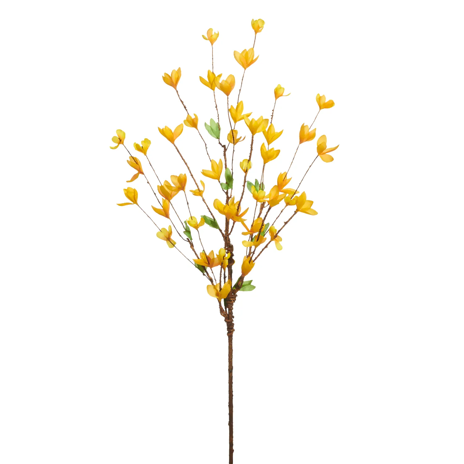 34" Forsythia Branch