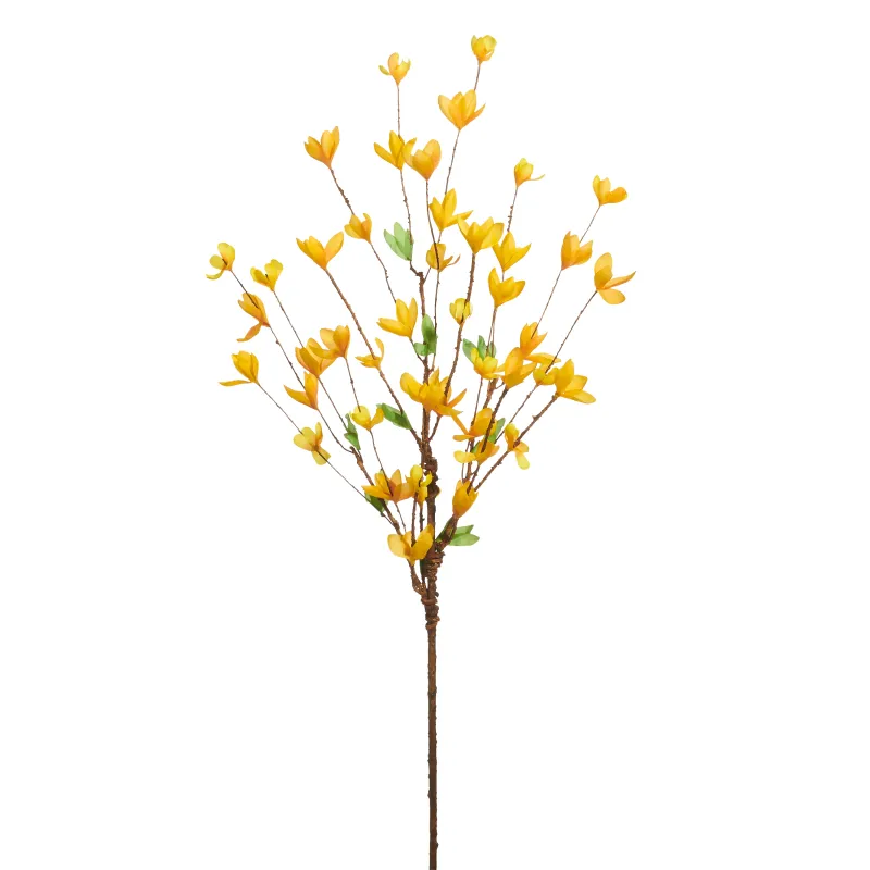 34" Forsythia Branch
