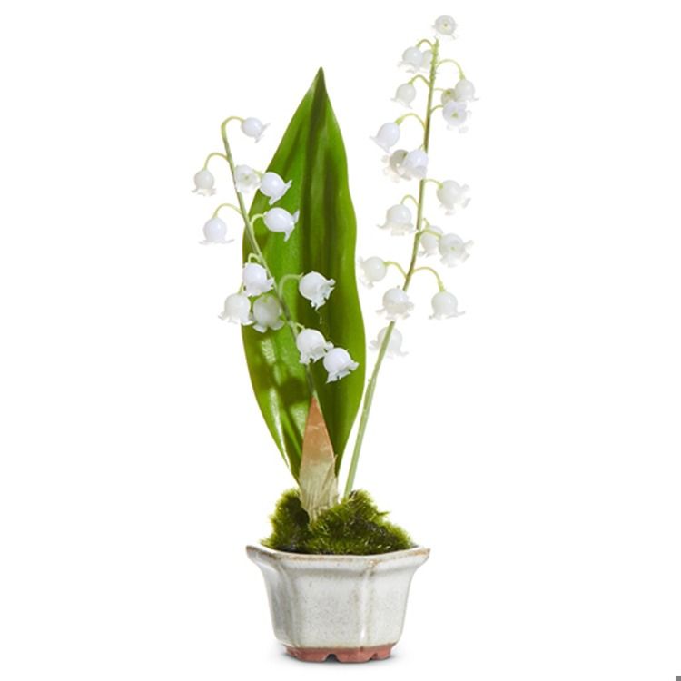 7.5" Lily of the Valley in Cachepot
