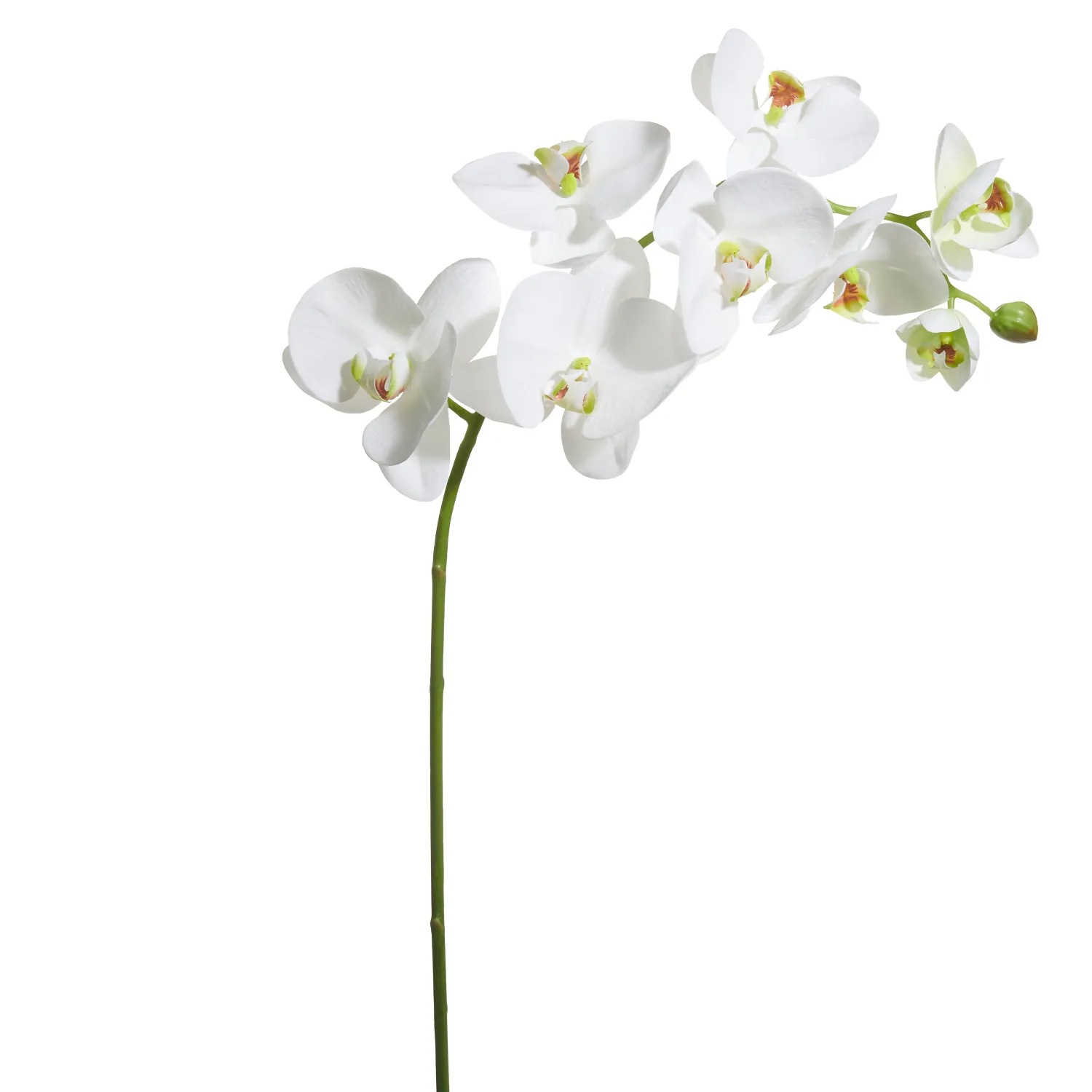 33.5" Real Touch White Phalaenopsis Stem
