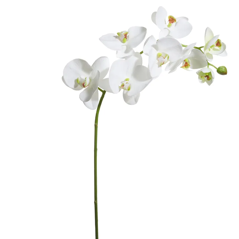 33.5" Real Touch White Phalaenopsis Stem