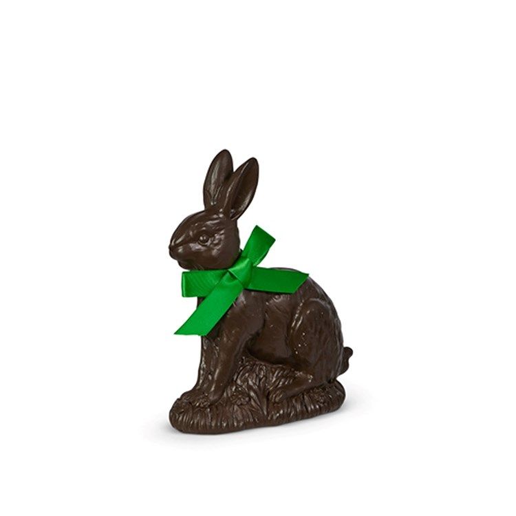 7" Chocolate Bunny