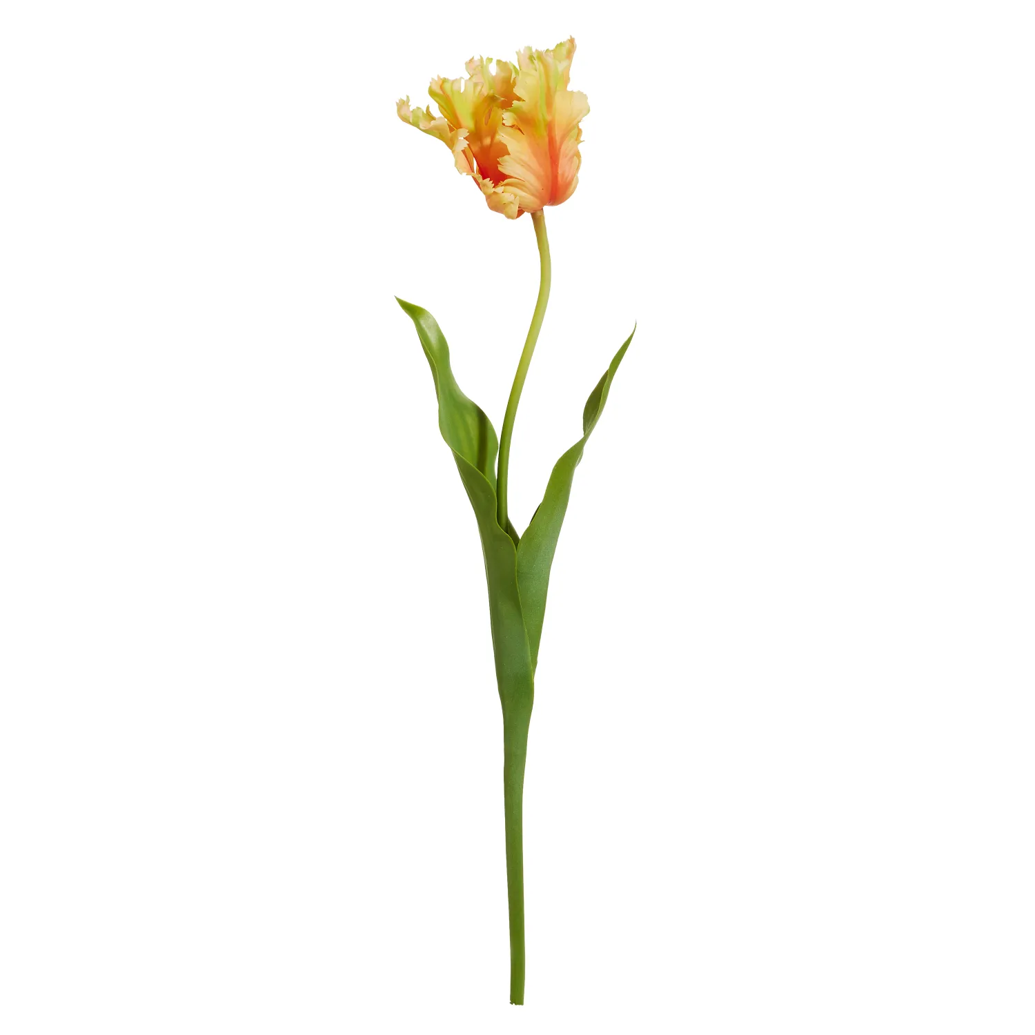 23" Real Touch Yellow Red Parrot Tulip Stem