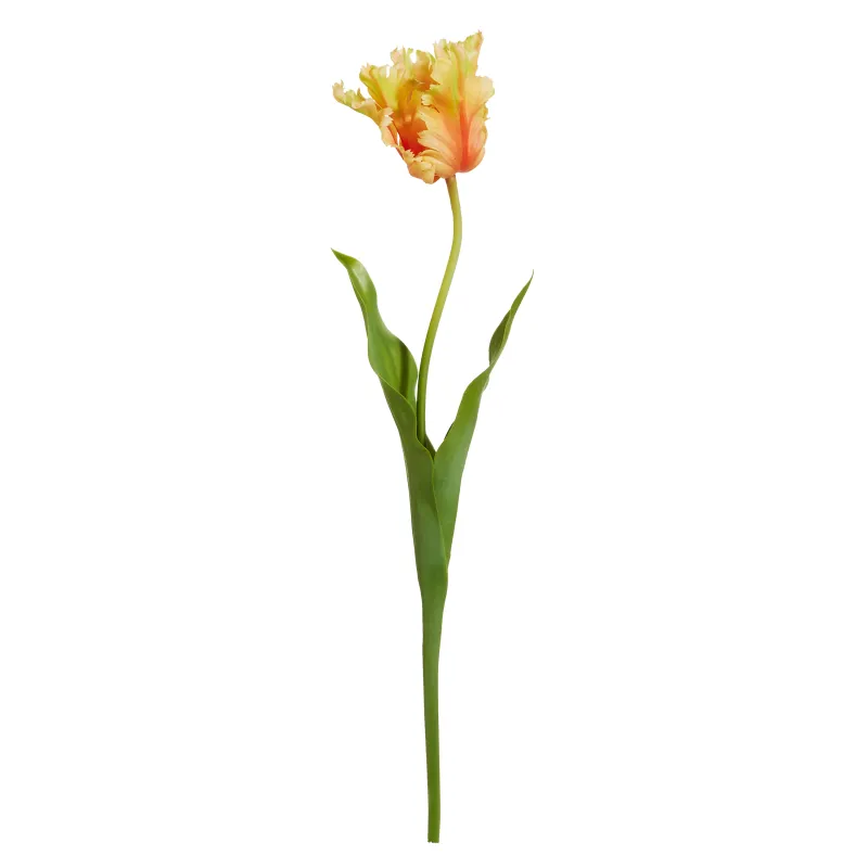 23" Real Touch Yellow Red Parrot Tulip Stem