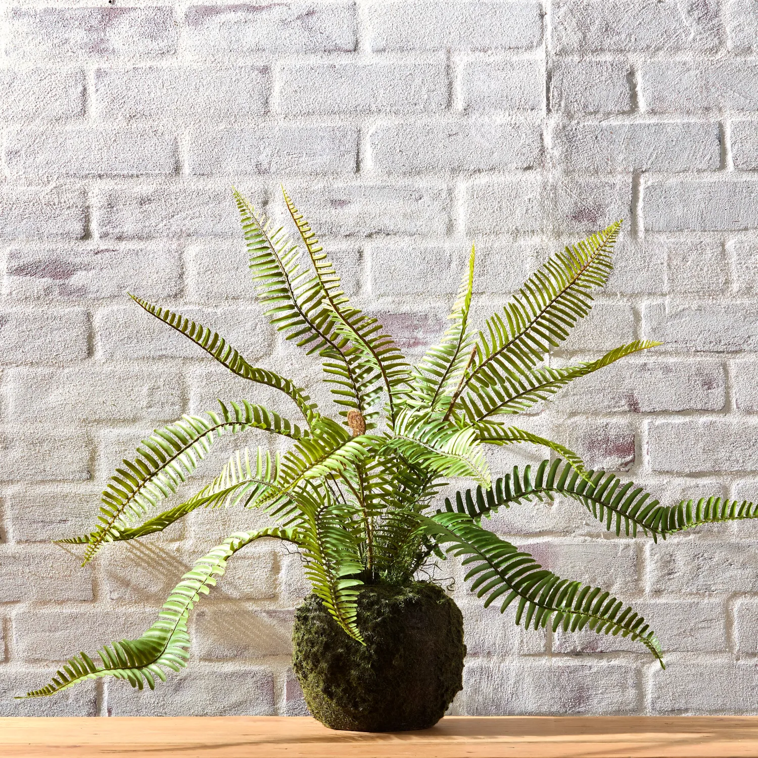 26" Fern Moss Drop In