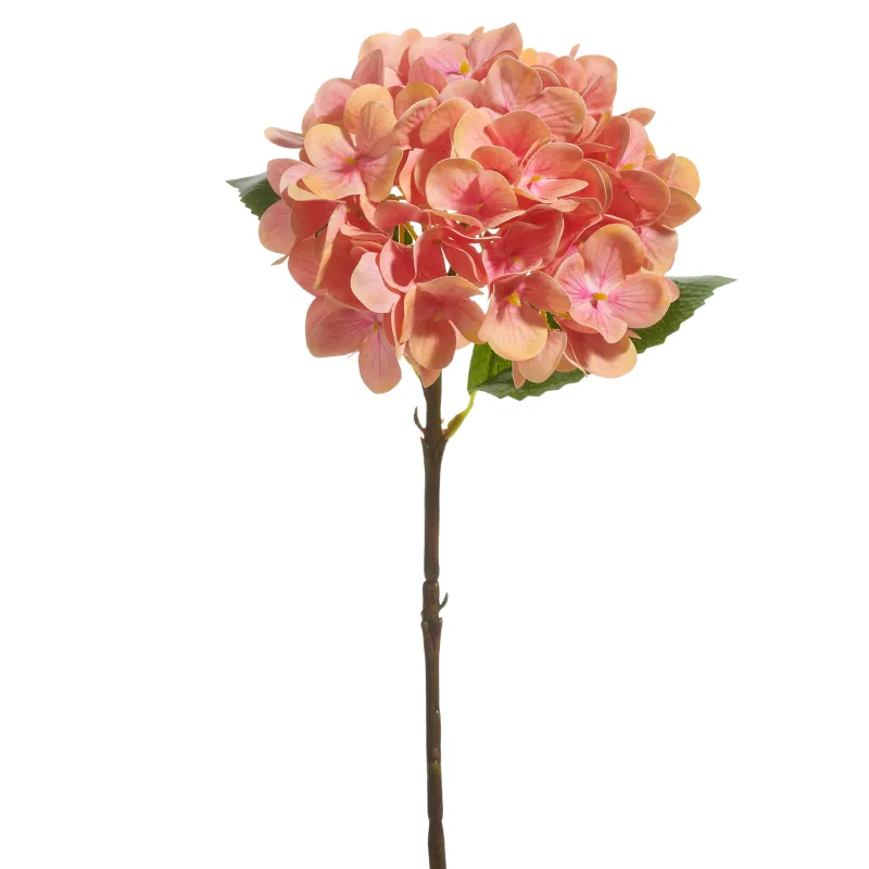 18" Coral Hydrangea Stem