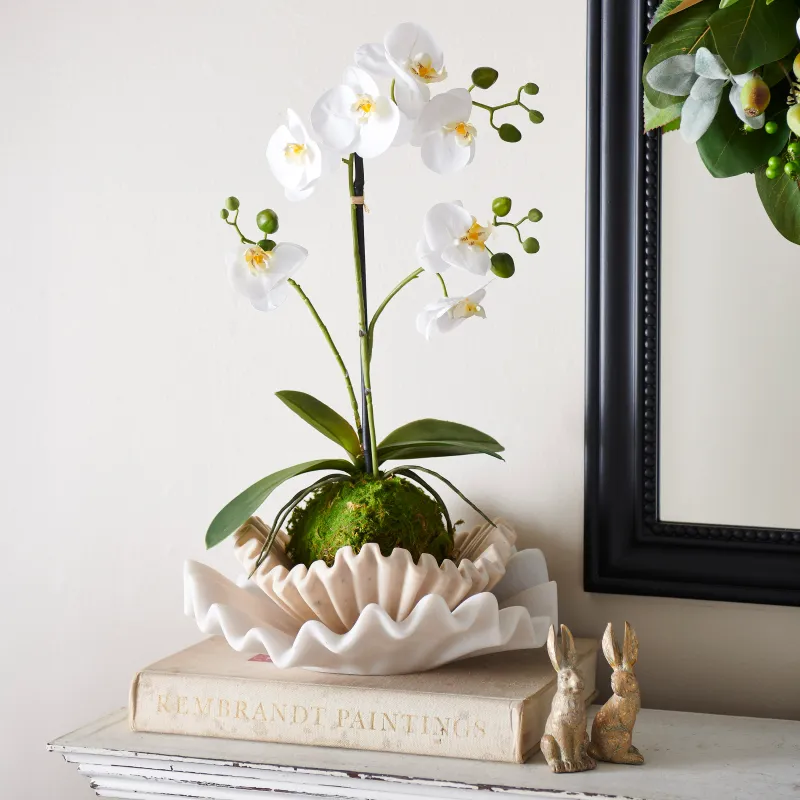 23.75" Real Touch White Orchid w Moss Ball