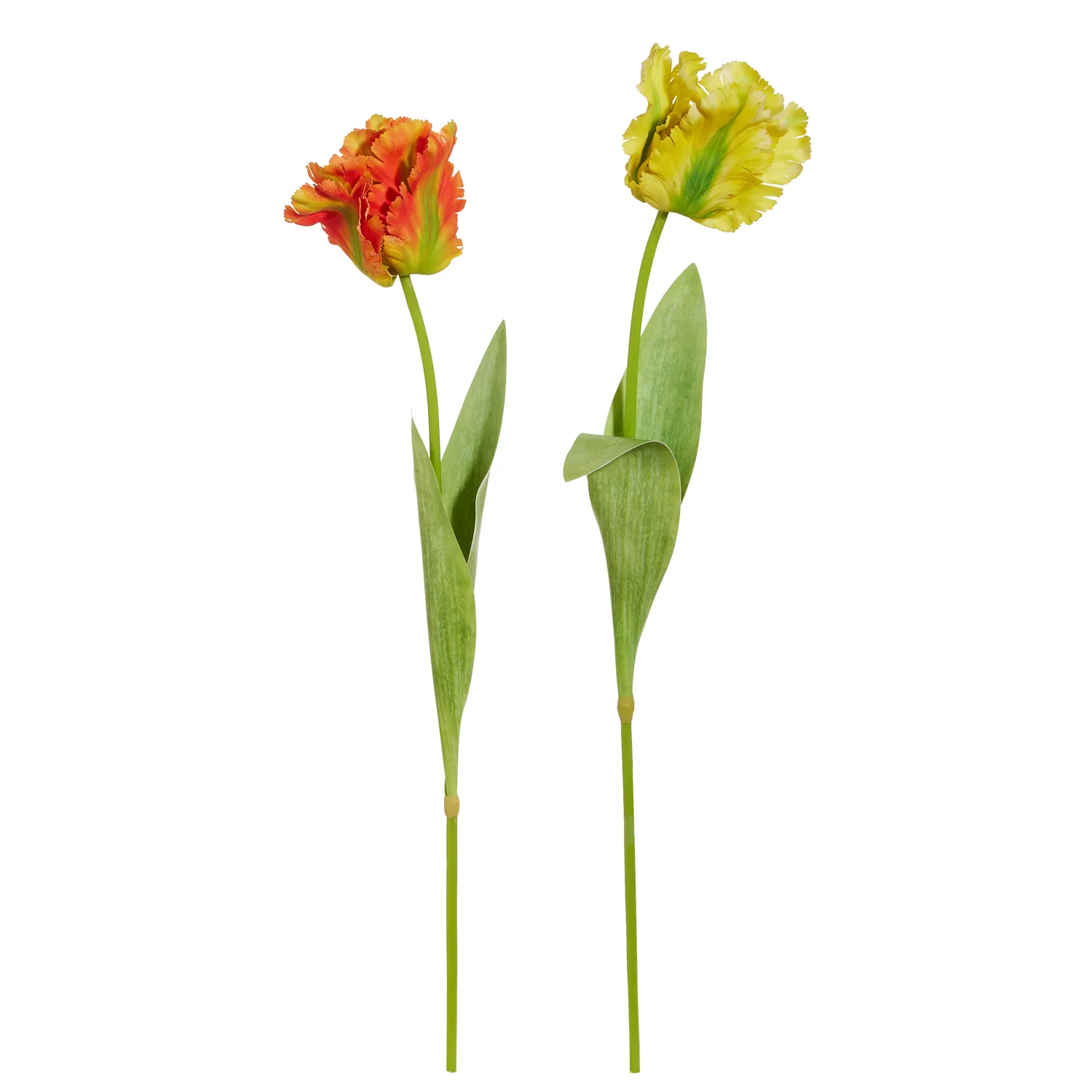 28" Real Touch Orange Parrot Tulip Stem