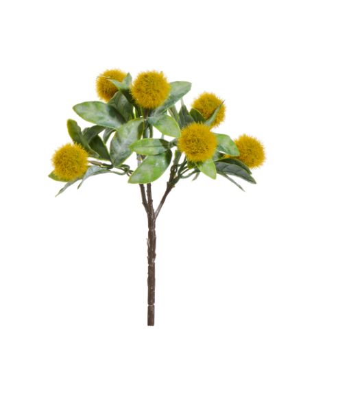 10" Billy Button Yellow Pick