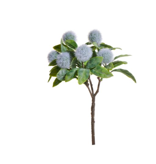 10" Billy Button Blue Picks