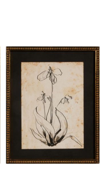 19.5" Floral Line Short/Tall Art Framed Print