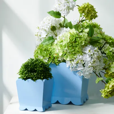 Blue Scalloped Planter Md