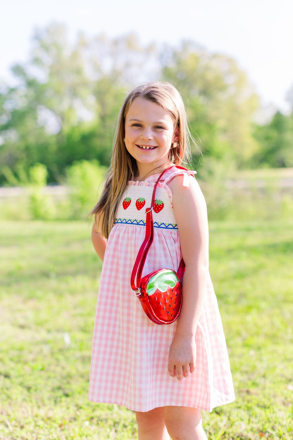 BC Strawberry Embroidery Dress