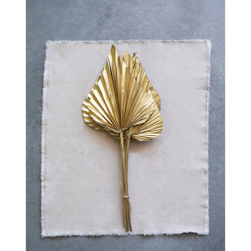 Dried King Palm Spear Bundle of 5