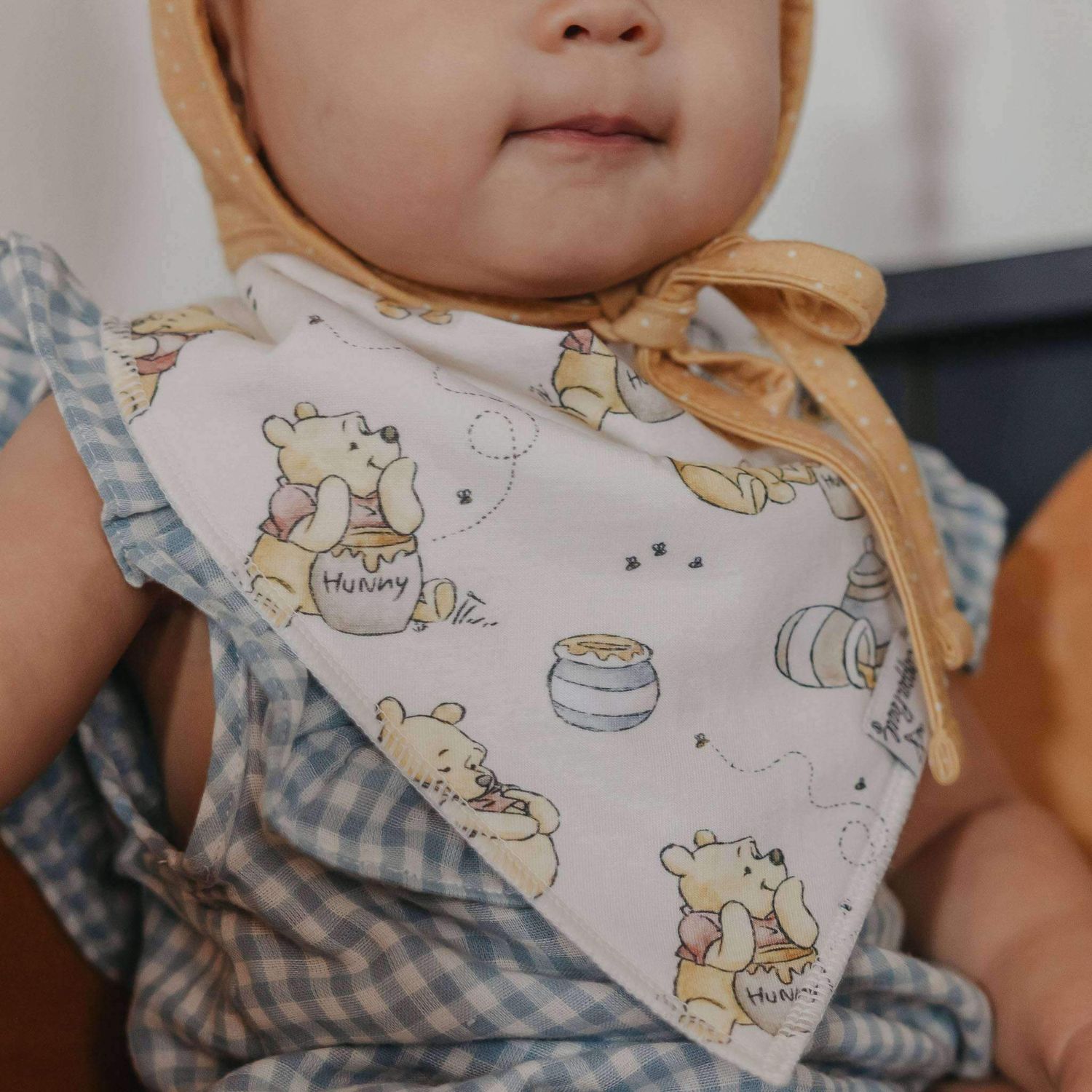 Hundred Acre Wood Bandana Bib Set