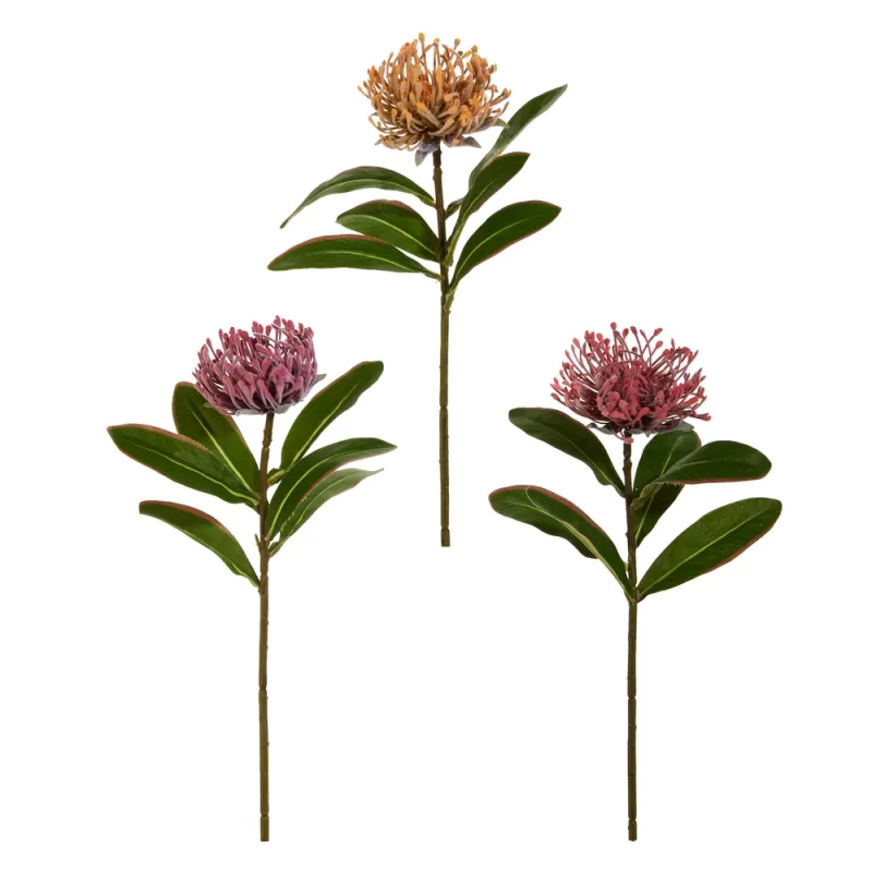 18" Protea Stem