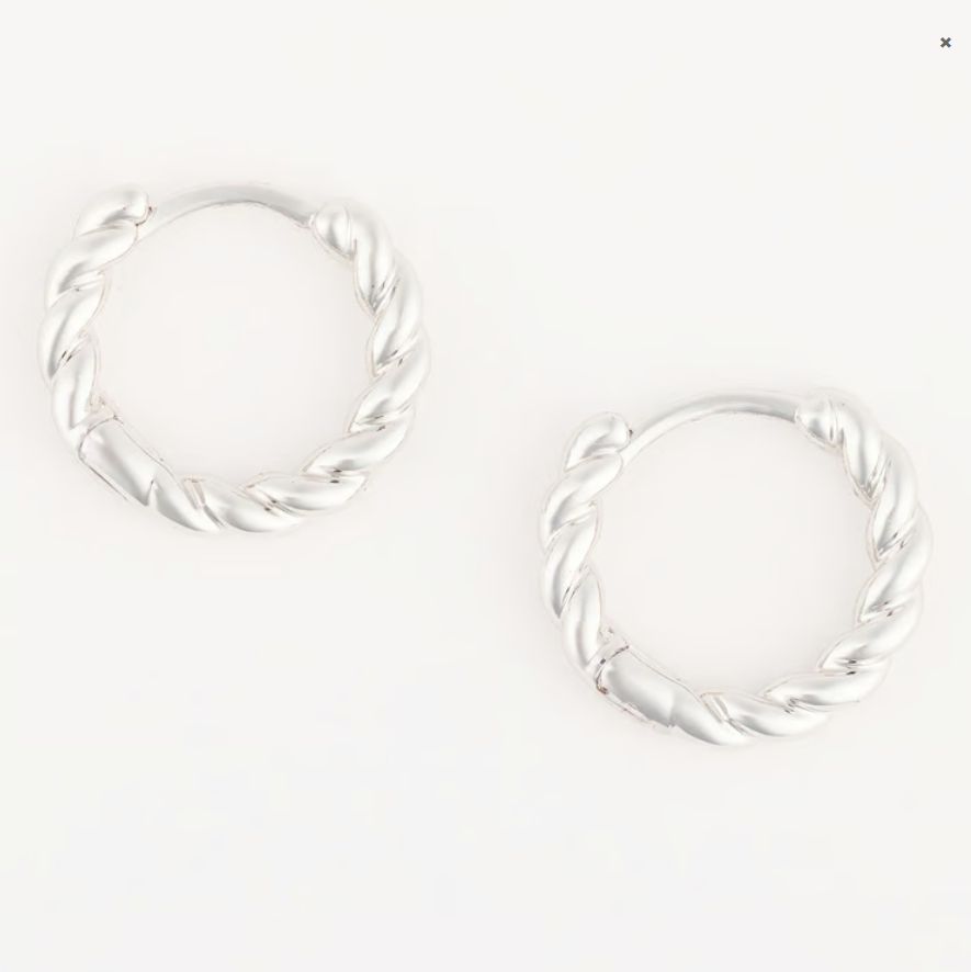 Brandi Luxe Silver Earrings