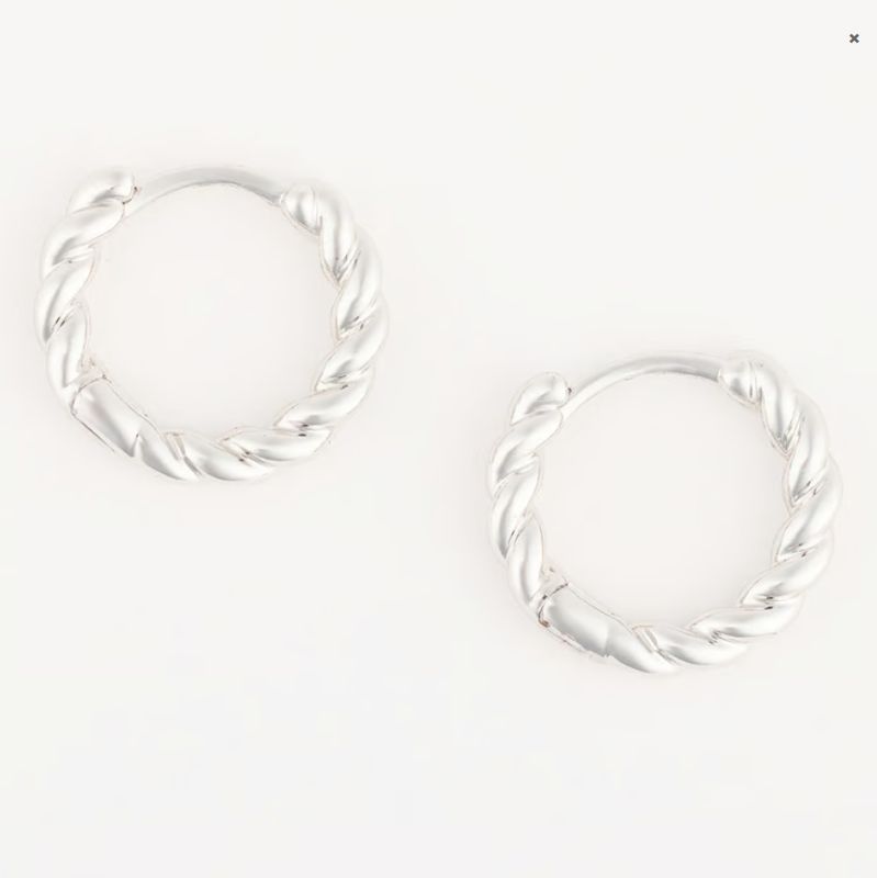 Brandi Luxe Silver Earrings