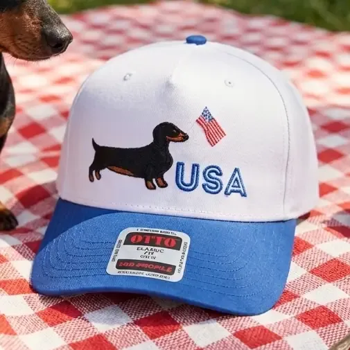 VG Red White and Woof Embroidered Hat