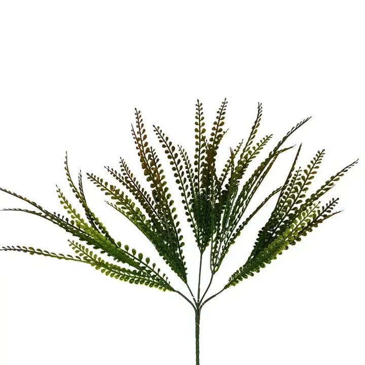 VG Button Leaf Grass