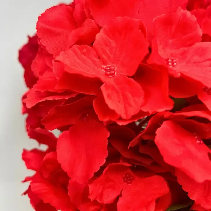 Vg Southern Hydrangea Bush 18" Red