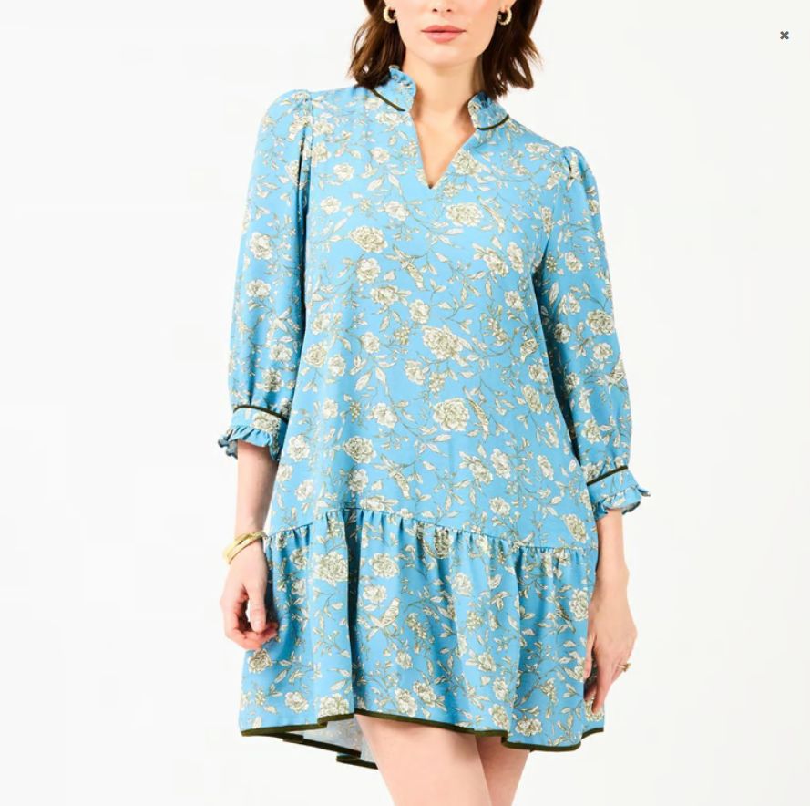 Audrey Song Bird Blue Dress
