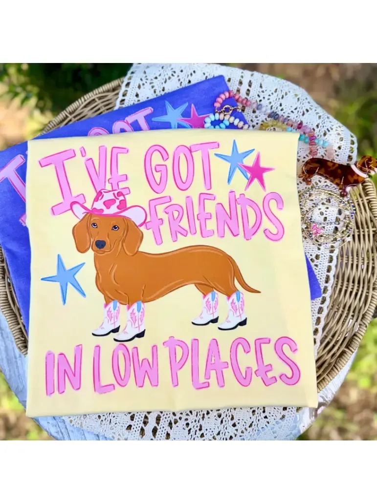 I've Got Friends in Low Places Tee
