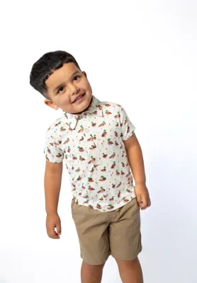 Mallard Drake Ducks Polo