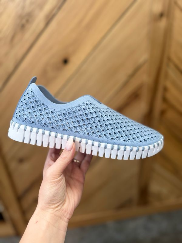 Slip-On Tulip 139-Cornflower W/White Sole