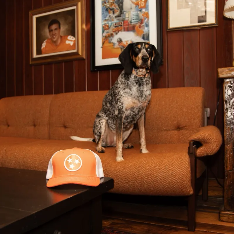VG Tennessee Tri Star Patch Hat