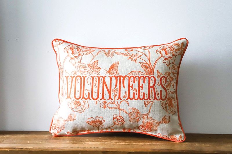 Volunteers Toile Pillow + Piping