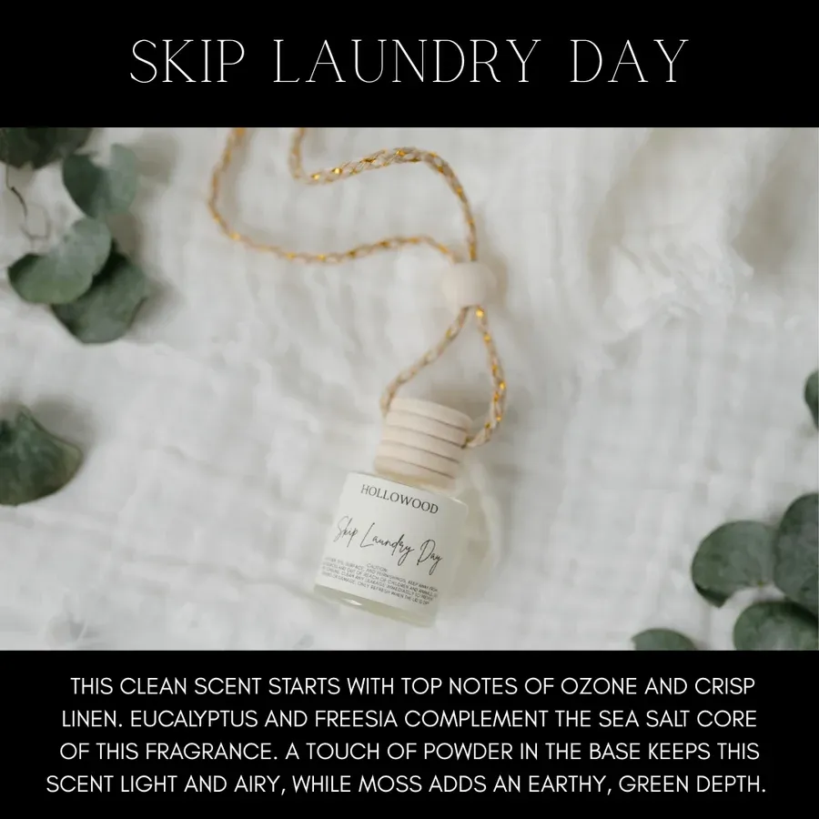 Skip Laundry Day Car Diffuser