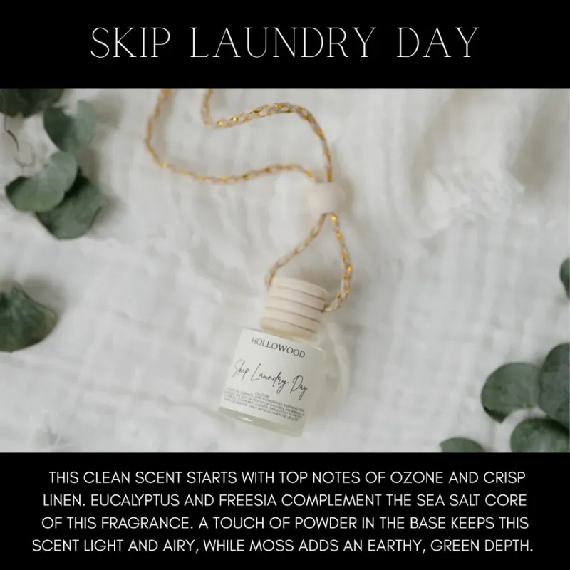 Skip Laundry Day Car Diffuser