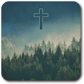 Tap to Pray Vinyl Sticker-Forest Landscape