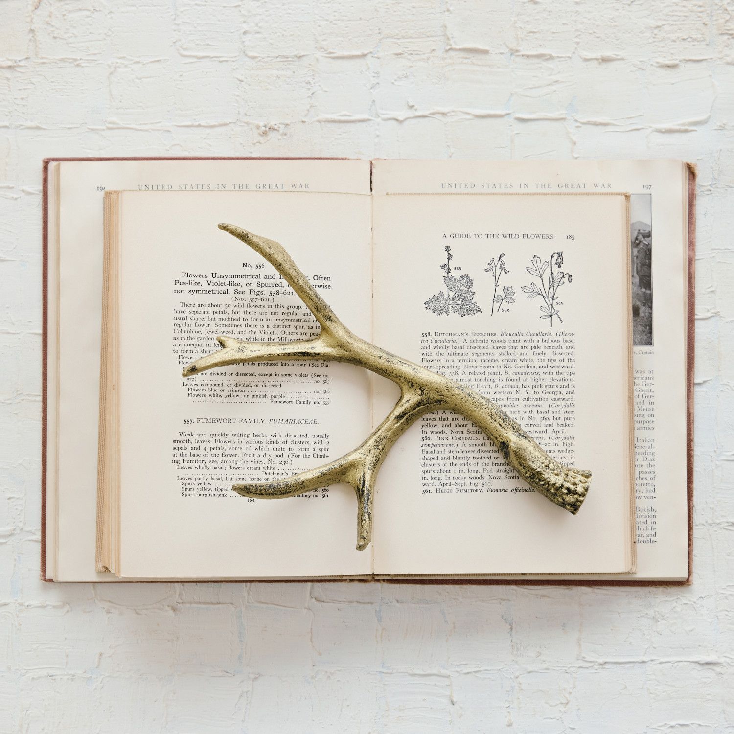XT1965-Cast Iron Antler