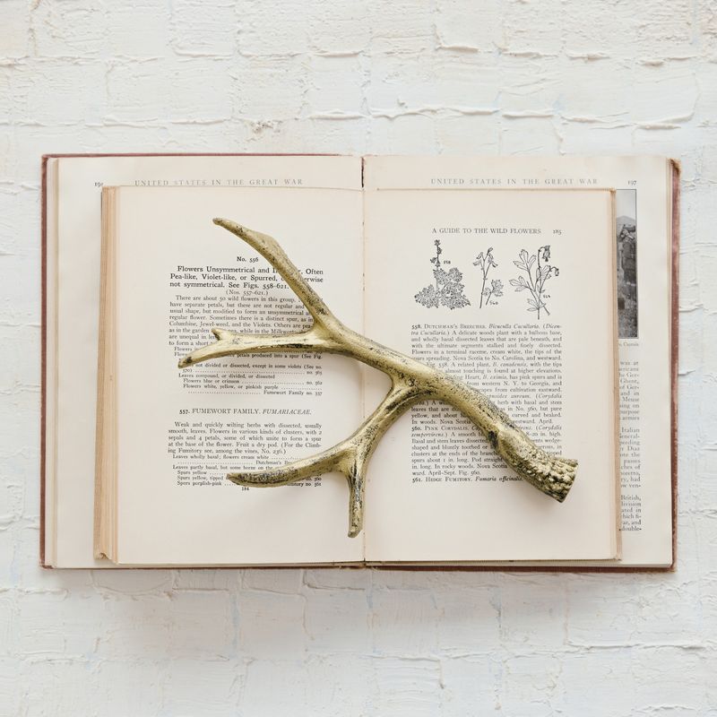 XT1965-Cast Iron Antler