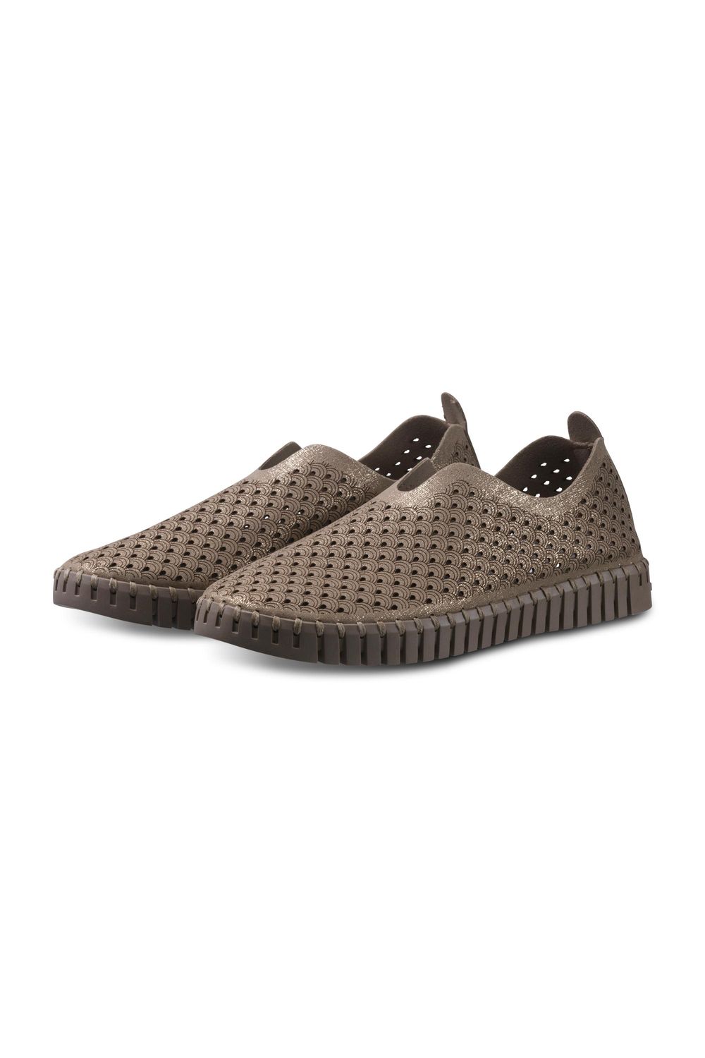Slip-On-Falcon