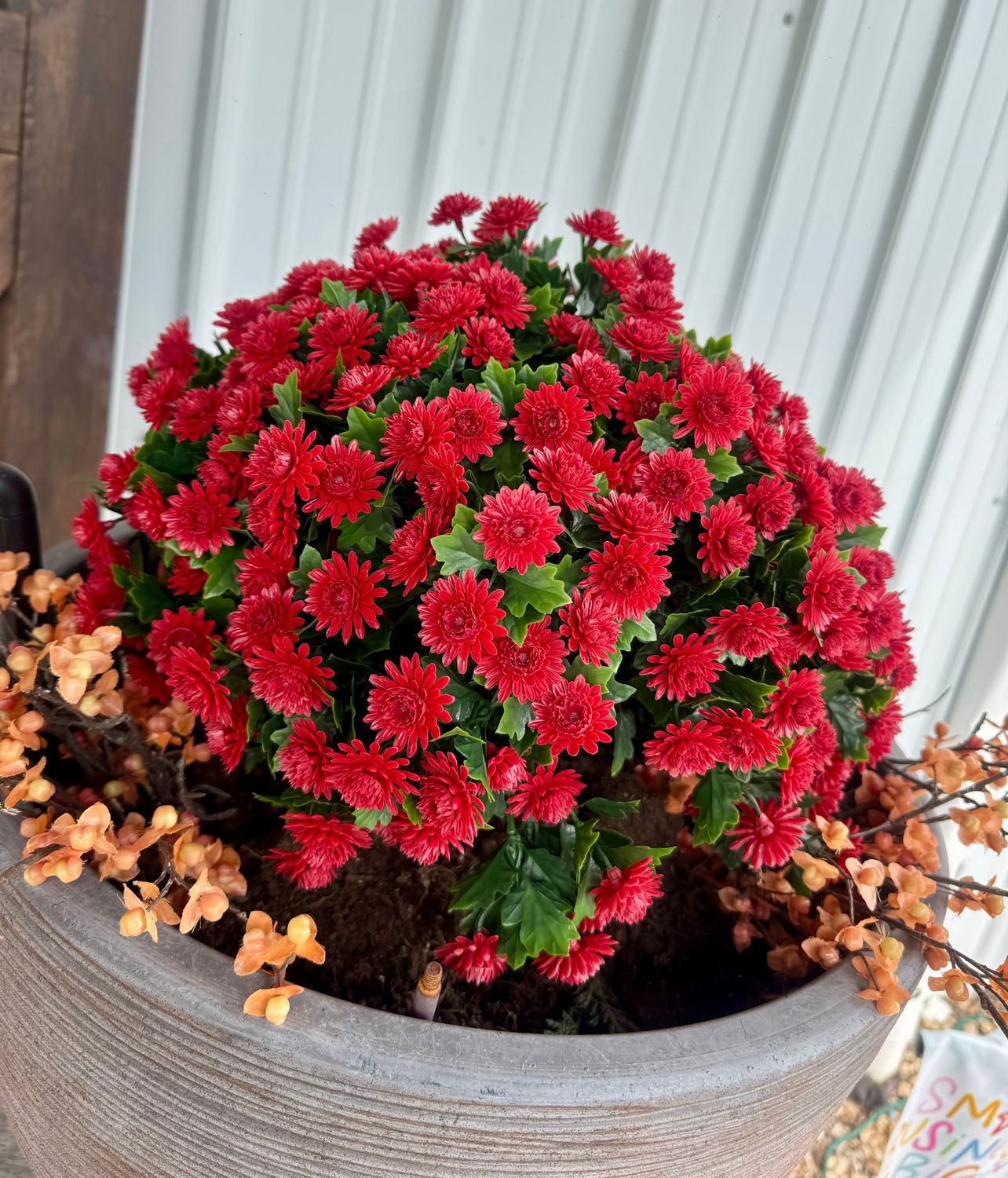 VG Mum Bush/Stake UV 16"-Burgundy