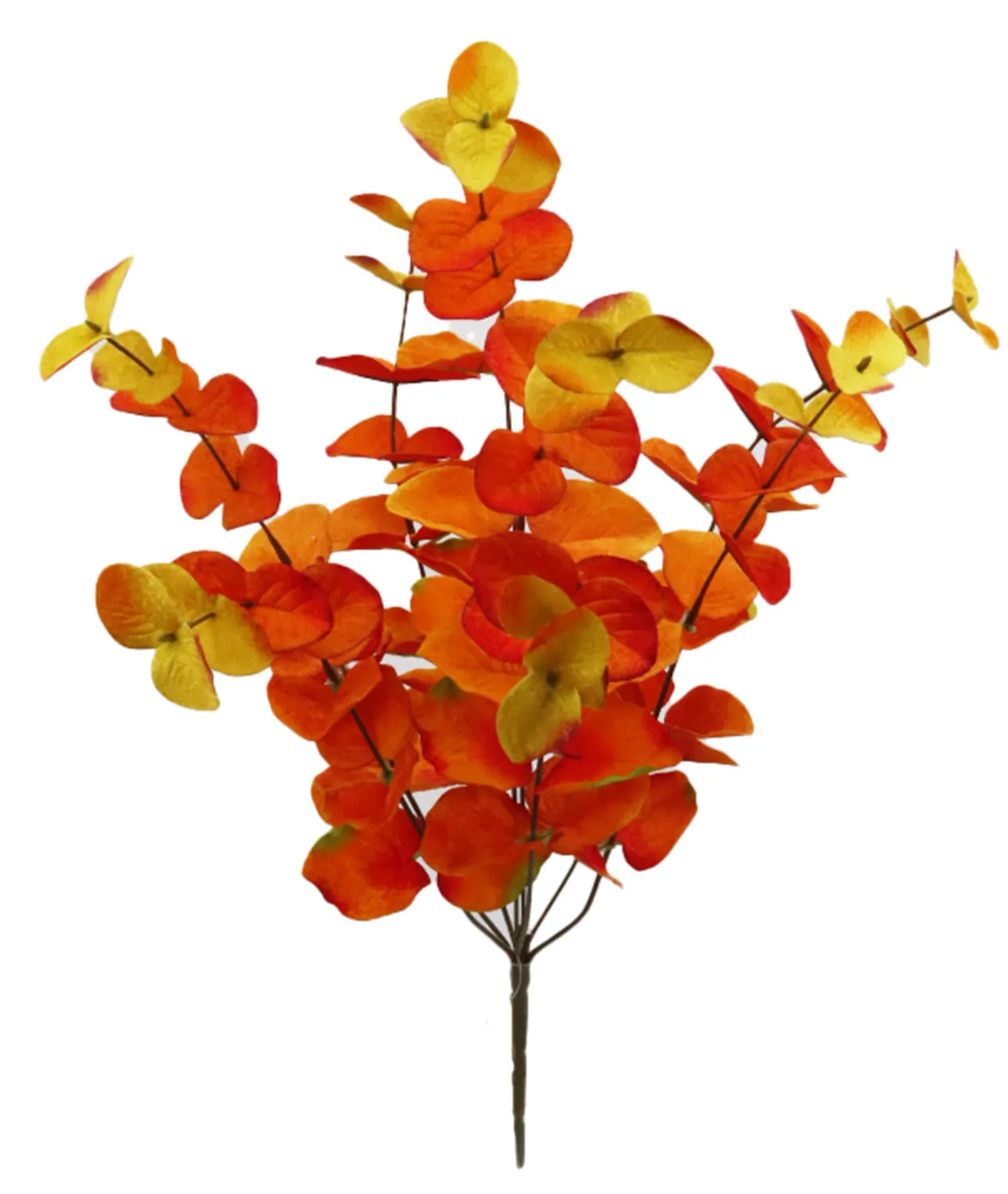 VG 21" Orange Eucalyptus Bush