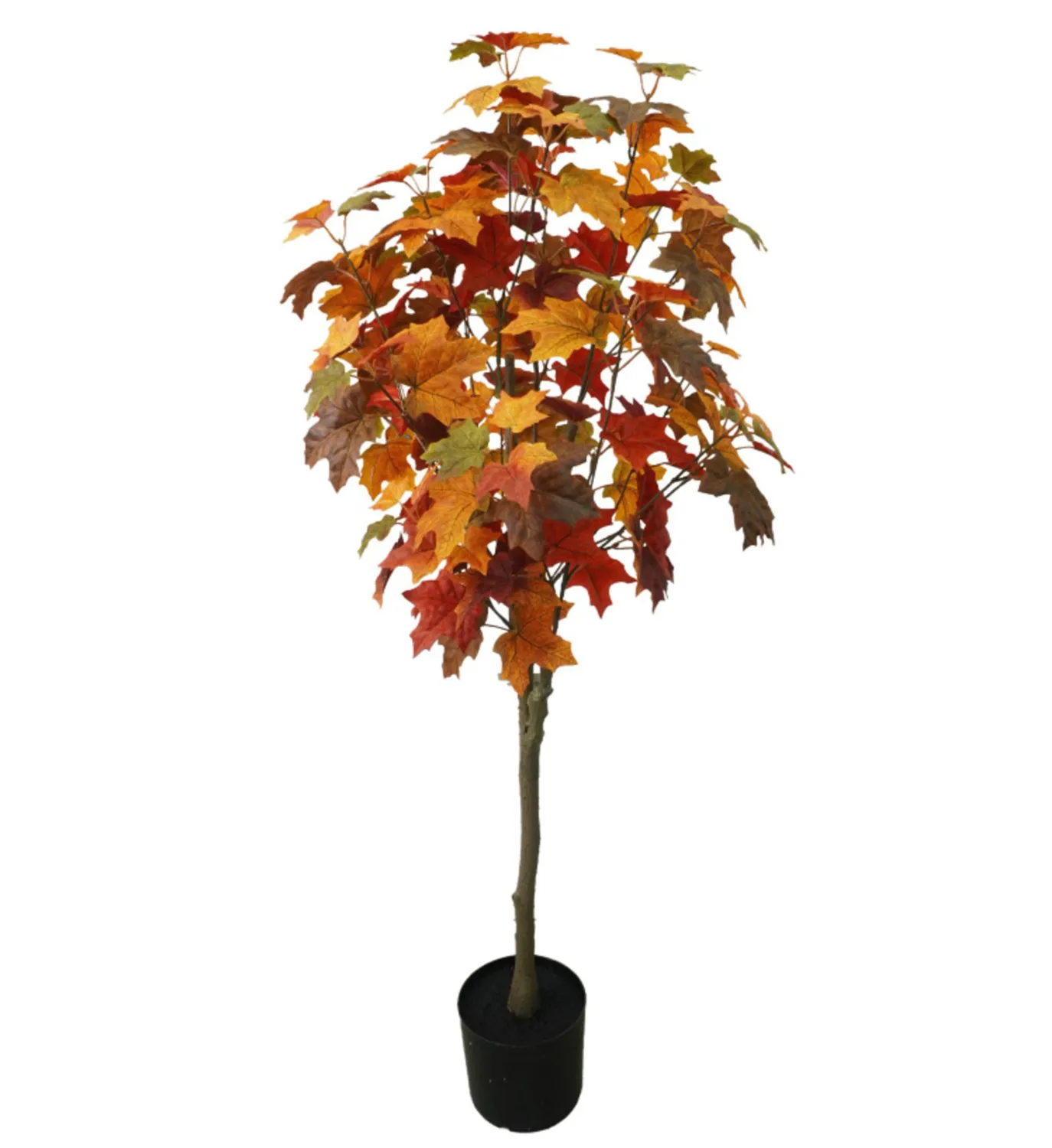 VG 4' Maple Tree In Pot-Gold/Burgundy