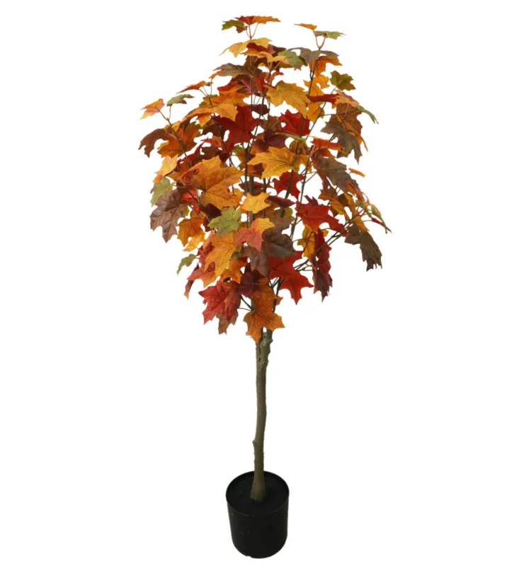 VG 4' Maple Tree In Pot-Gold/Burgundy