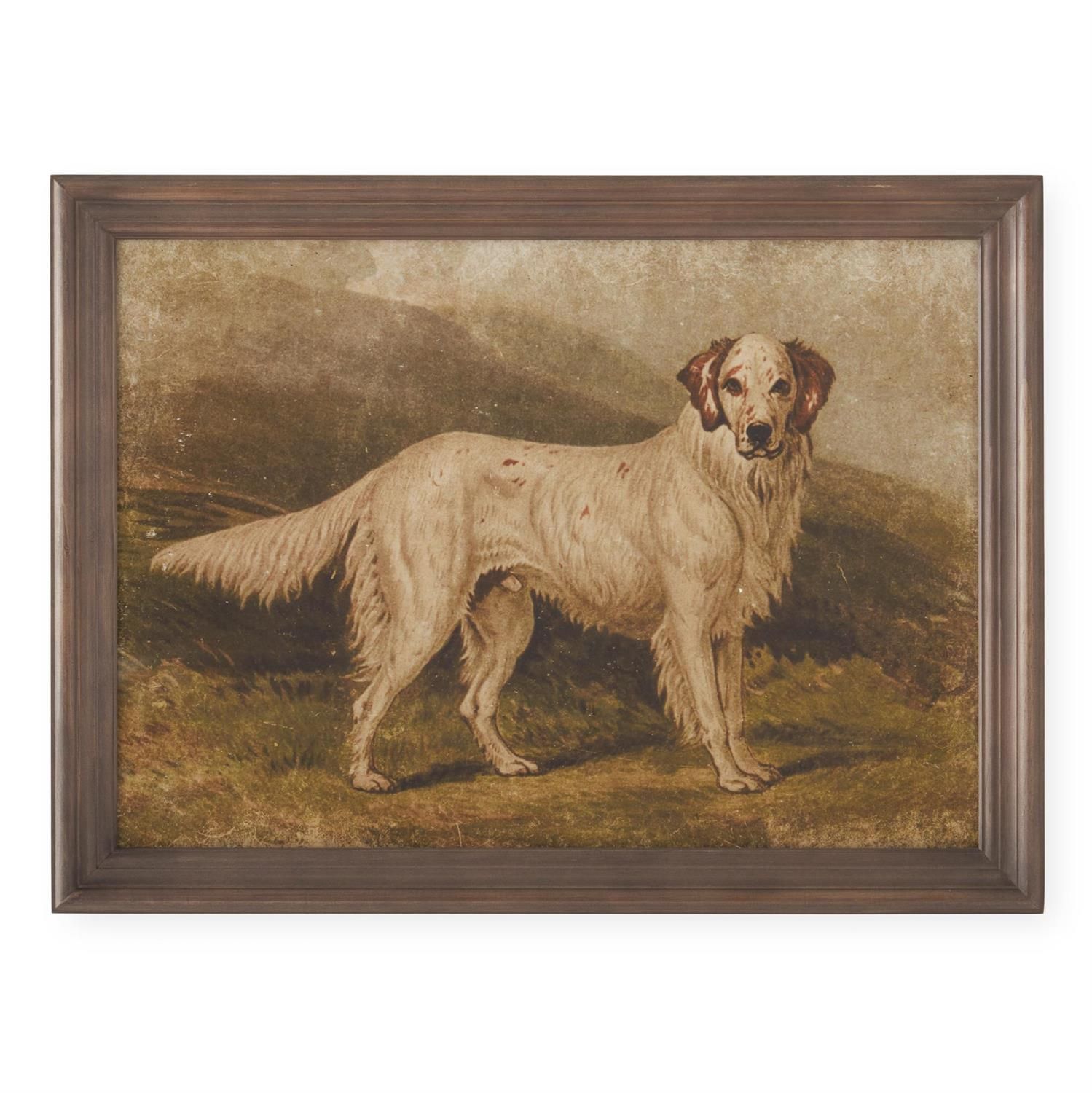 23.5" Dog Print 4