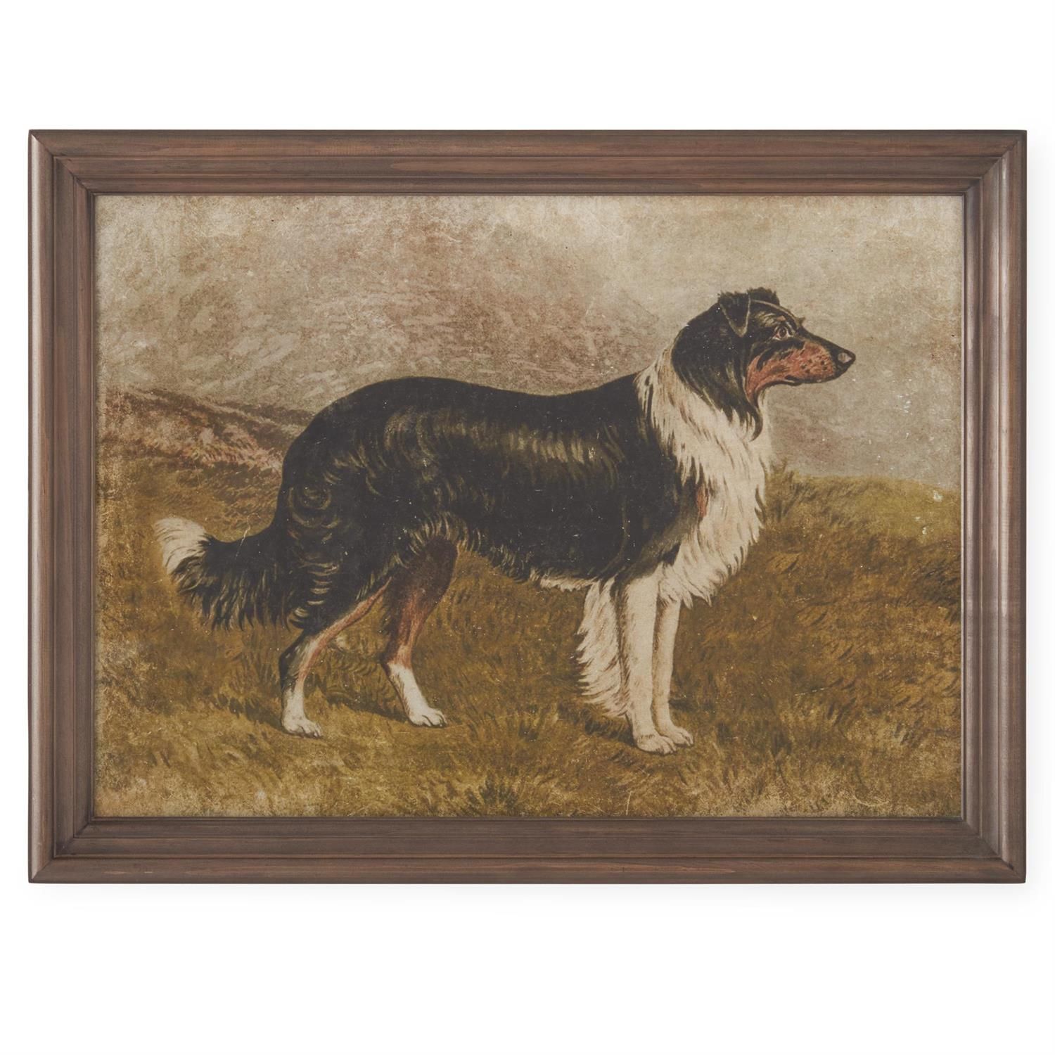 23.5" Dog Print 2