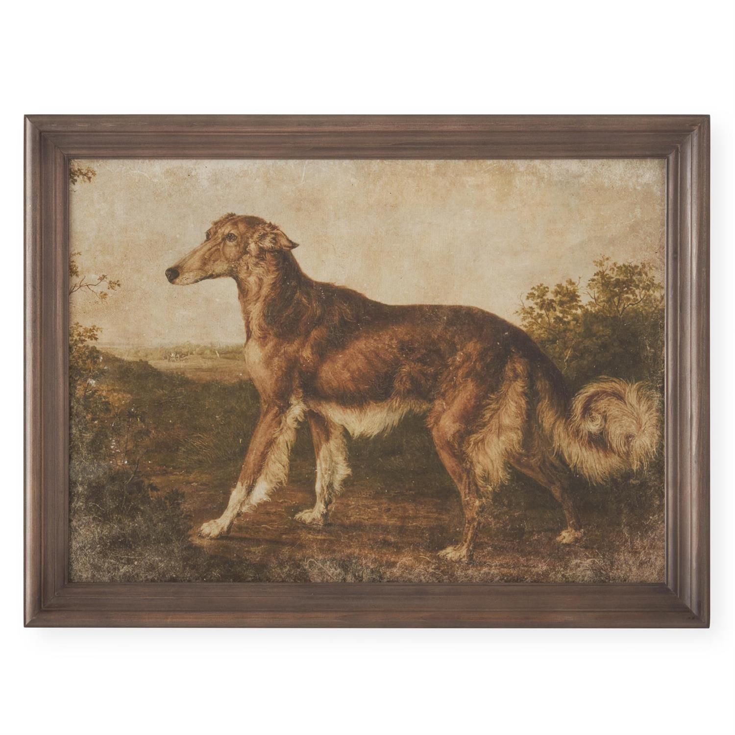23.5" Dog Print 1