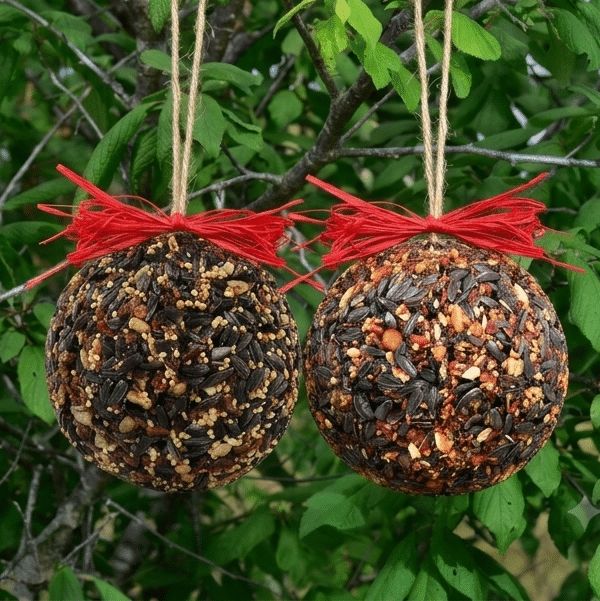 VG Mr Bird Seed &amp; Nut Ornament