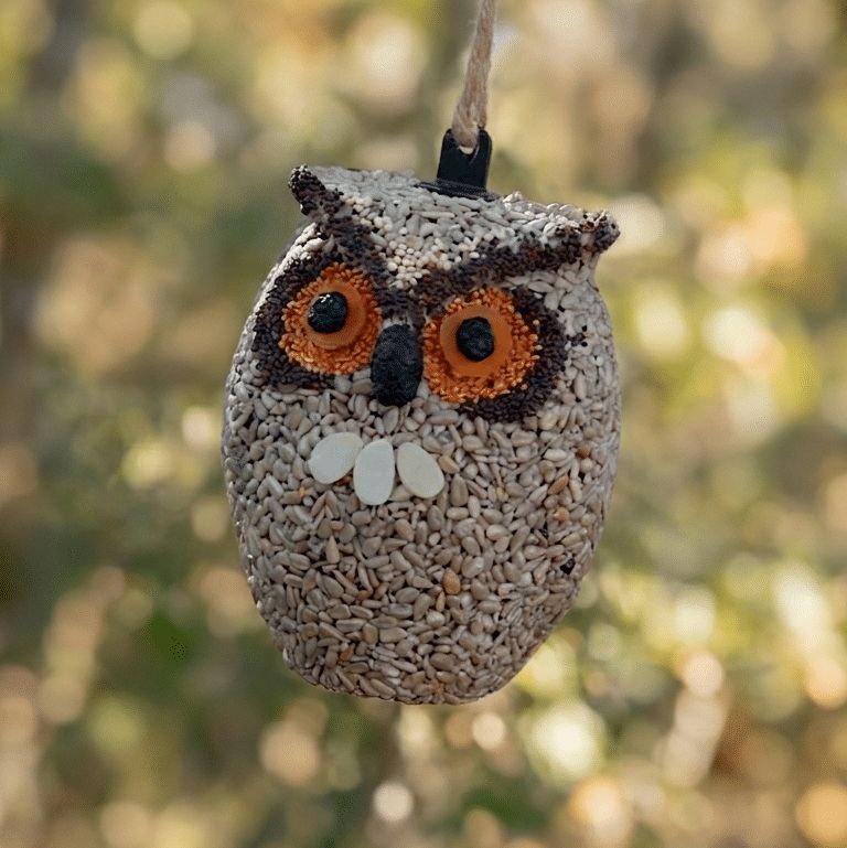 VG Mr Bird Owl