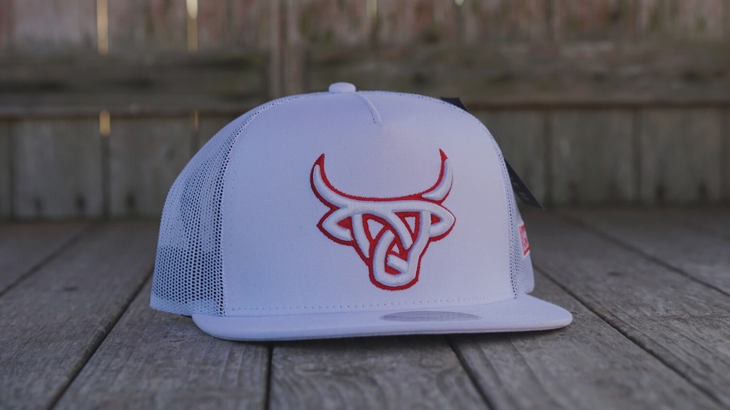WHITE TORO BRAVO