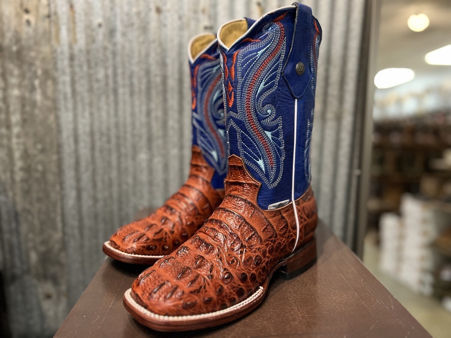 Men's Shedron Alligator Prints